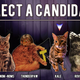 Illustration for article titled Lets Play iCat President/i, In Which Pictures Of Cats Run For President